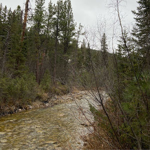 Meet your Posher, Alexander